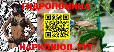 тгк Гусев