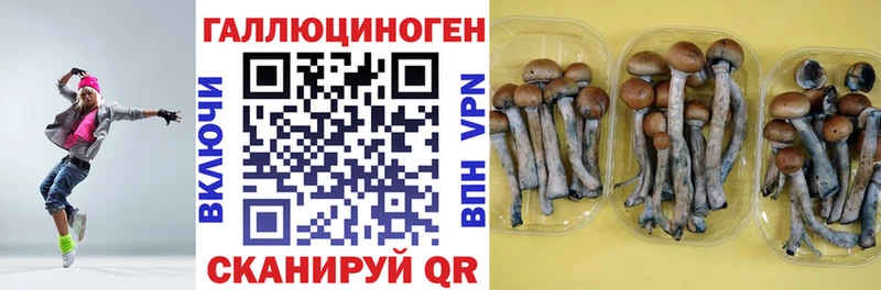 darknet какой сайт  Партизанск  Псилоцибиновые грибы MAGIC MUSHROOMS 