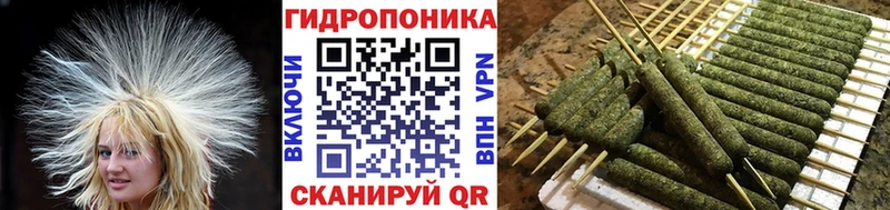 omg tor  Партизанск  Бошки марихуана индика 